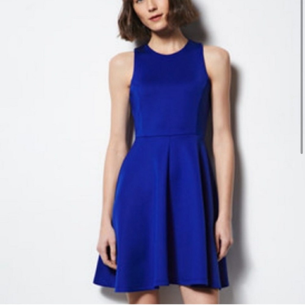 Milly royal blue scuba dress